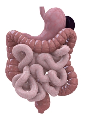 colon cleanse scam